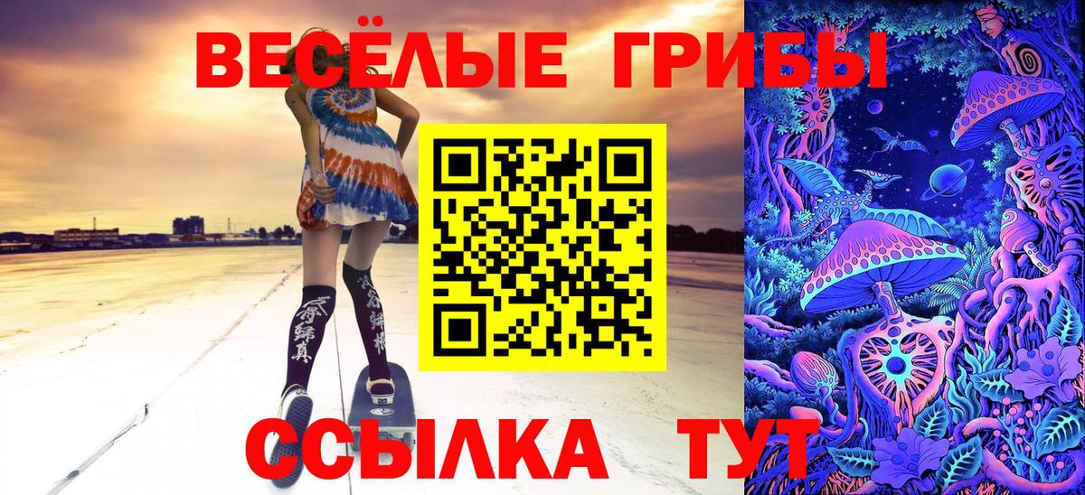 Псилоцибиновые грибы Cubensis Грязи