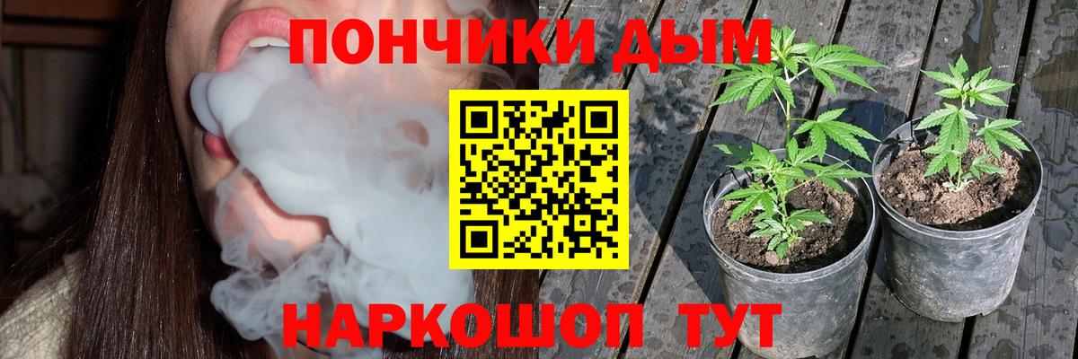 Бошки Шишки ГИДРОПОН  Канабис планчик  Грязи  Бошки марихуана LSD WEED  Вход с VPN 